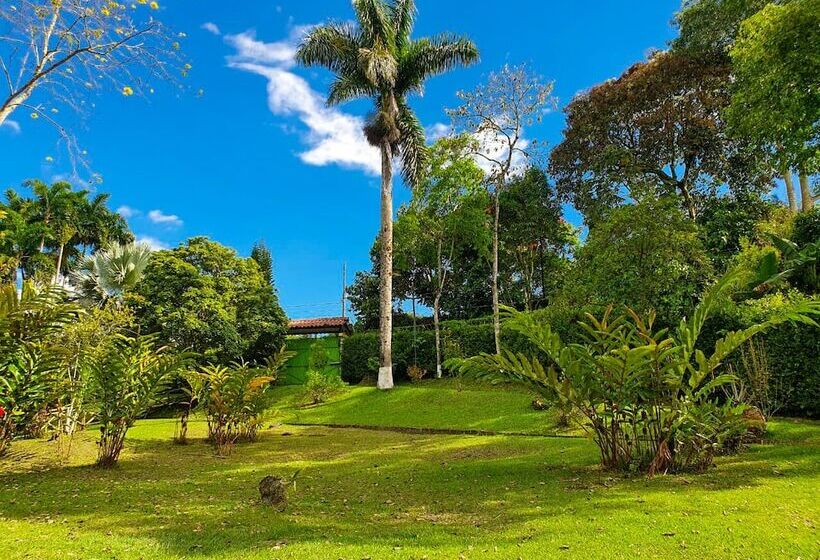 ペンション Room In Lodge   Tree House Finca La Floresta Verde