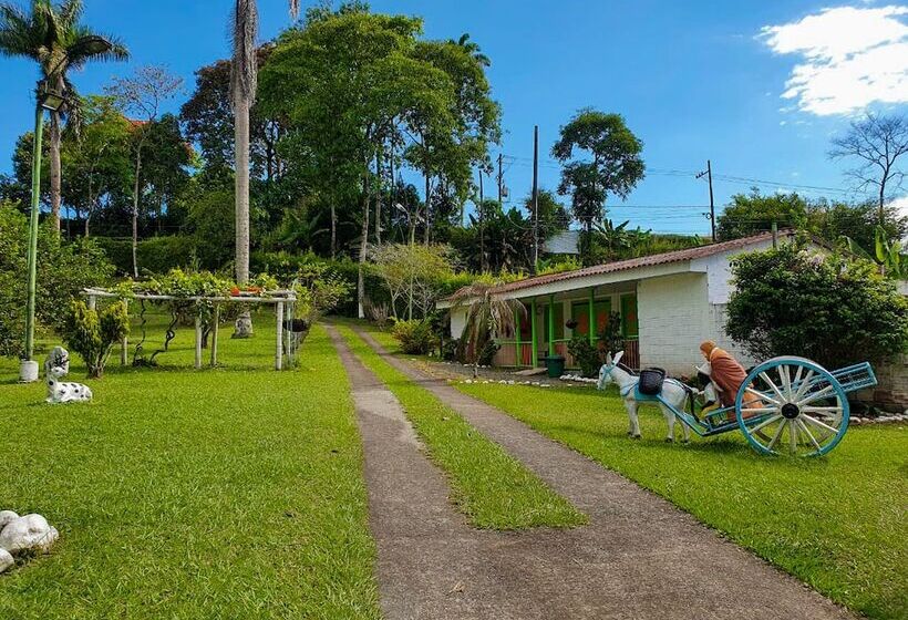 بنسيون Room In Lodge   Tree House Finca La Floresta Verde