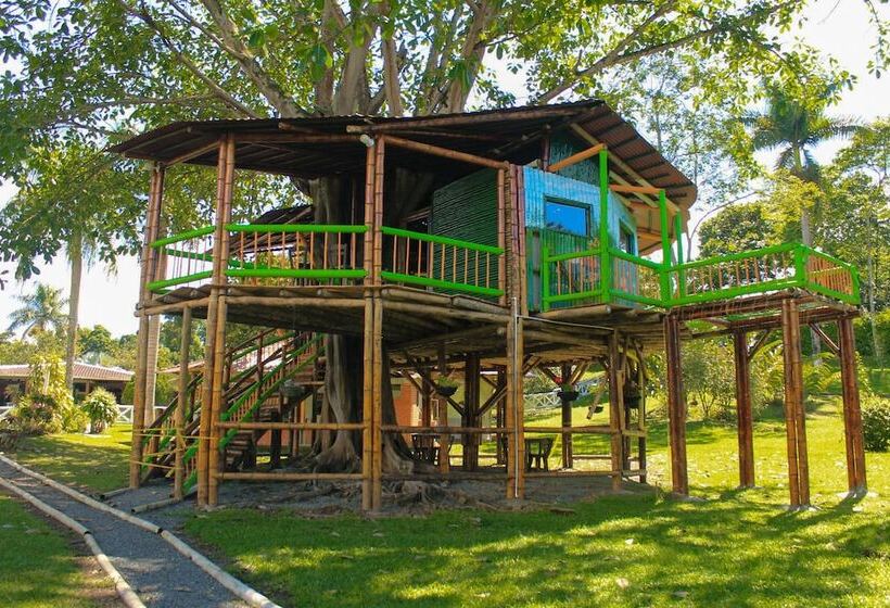 ペンション Room In Lodge   Tree House Finca La Floresta Verde
