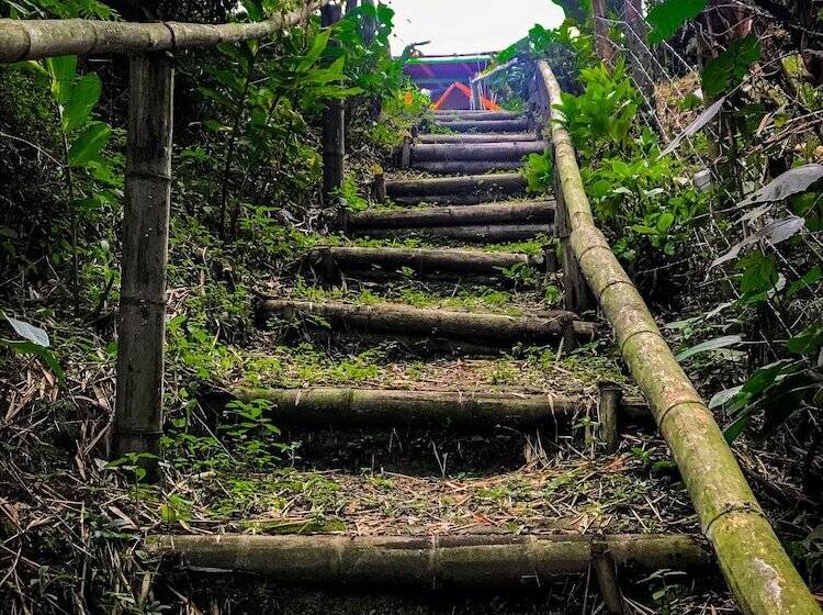 بنسيون Room In Lodge   Tree House Finca La Floresta Verde