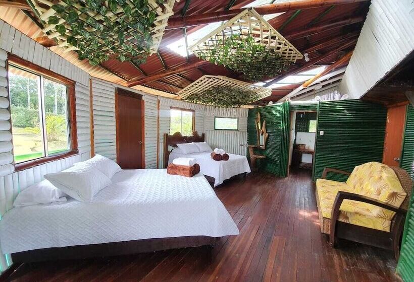 بنسيون Room In Lodge   Tree House Finca La Floresta Verde