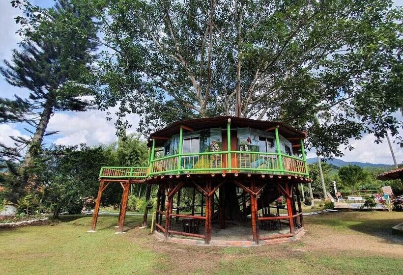 بنسيون Room In Lodge   Tree House Finca La Floresta Verde
