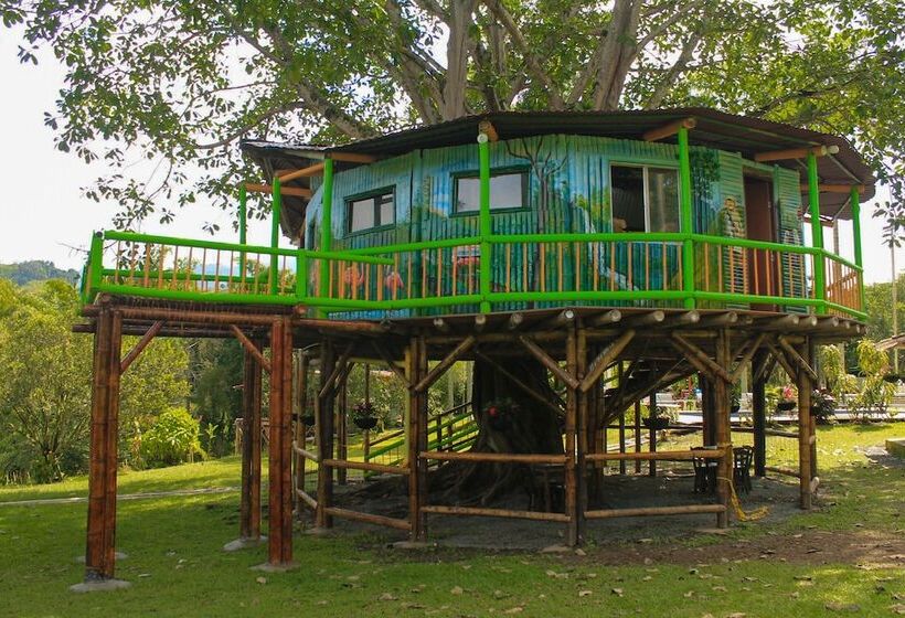 بنسيون Room In Lodge   Tree House Finca La Floresta Verde