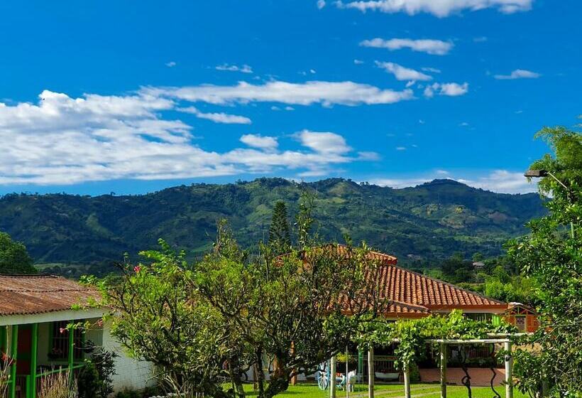 بنسيون Room In Lodge   Tree House Finca La Floresta Verde