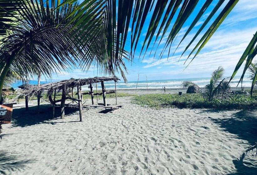 هتل North Shore Beach Resort