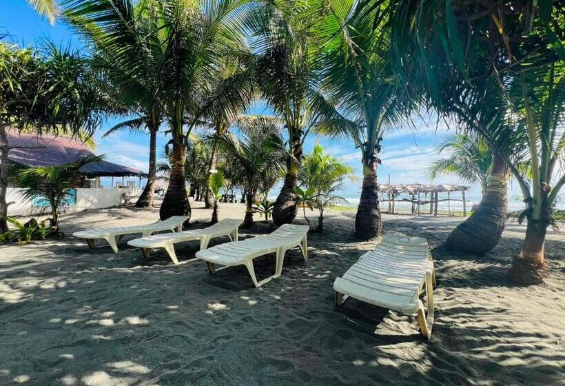 هتل North Shore Beach Resort