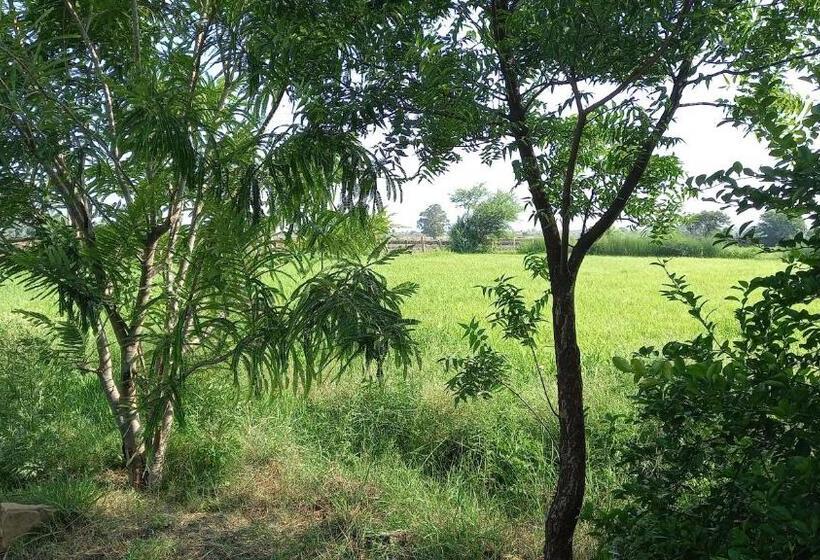 בית מלון כפרי Tranquility Homestay