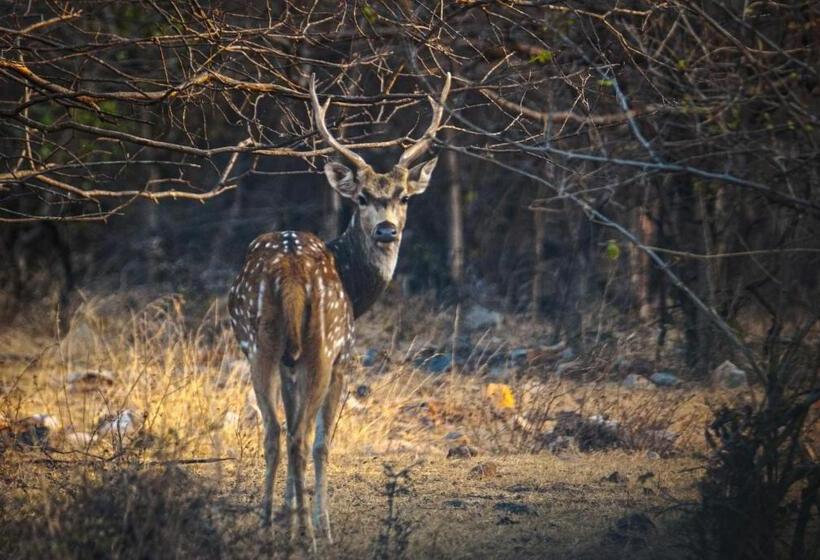 בית מלון כפרי Tranquility Homestay