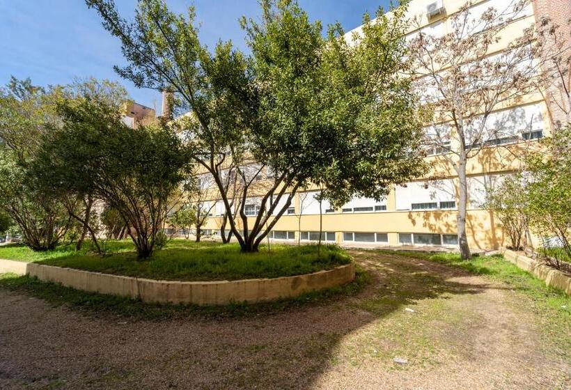 La Mota By Punta25 Hotels Group