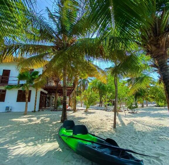 פנסיון Casa Camurupim