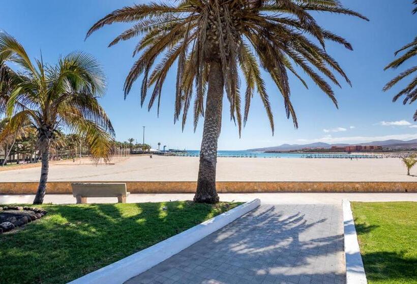 Отель Barcelo Fuerteventura Royal Level  Adults Only