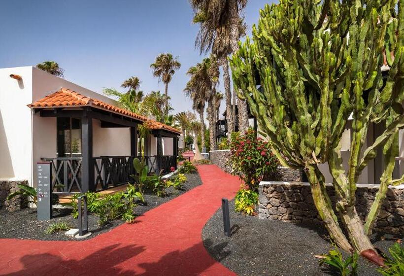 Отель Barcelo Fuerteventura Royal Level  Adults Only