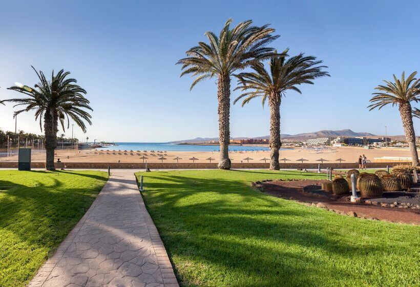 Отель Barcelo Fuerteventura Royal Level  Adults Only