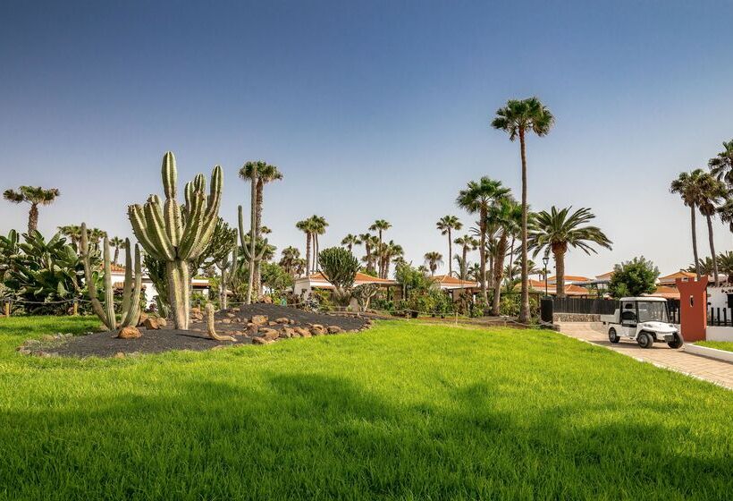 Отель Barcelo Fuerteventura Royal Level  Adults Only