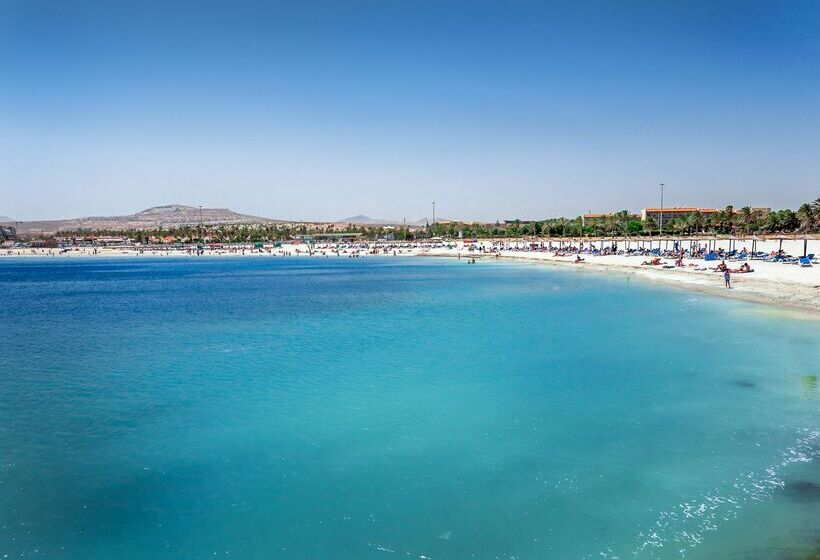Отель Barcelo Fuerteventura Royal Level  Adults Only