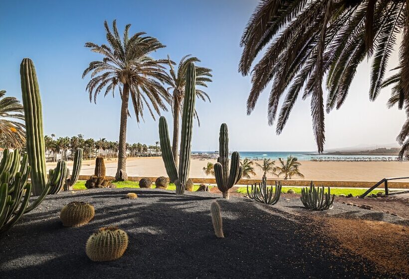 Отель Barcelo Fuerteventura Royal Level  Adults Only