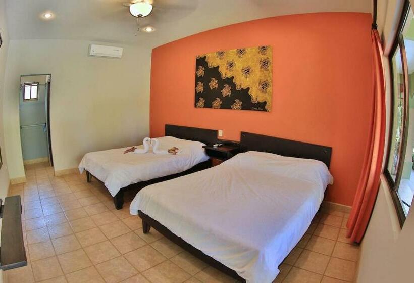 ホテル Dantita  Pitaya Lodge Sleeps 4