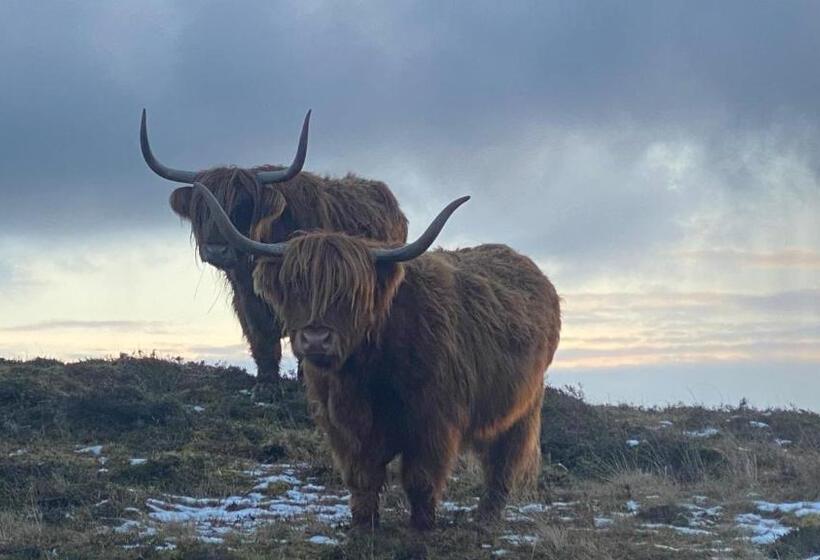 Пансион Heatherbrae Cosy Wooden Pod