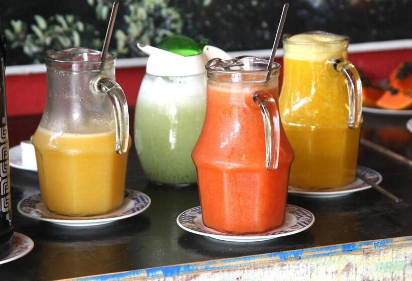 旅馆 Pousada Beira Rio Cipó