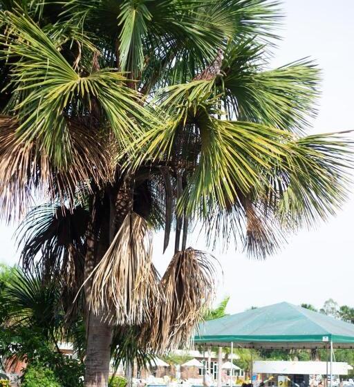 ホテル Grand Lençóis Flat