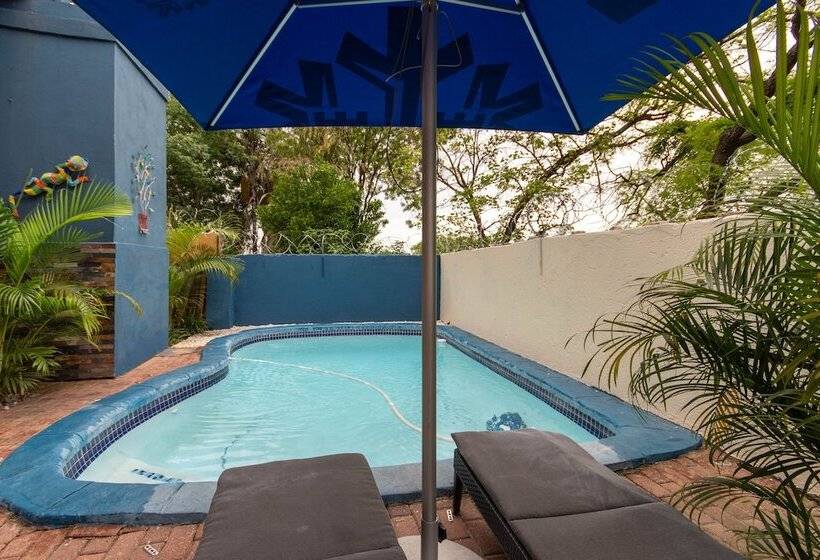 بنسيون Woodpeckers Guest House