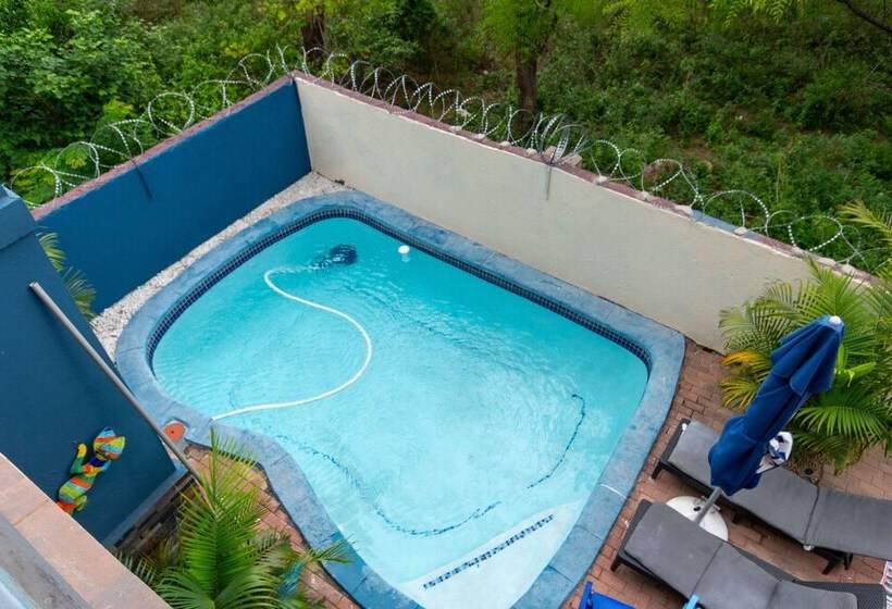 بنسيون Woodpeckers Guest House