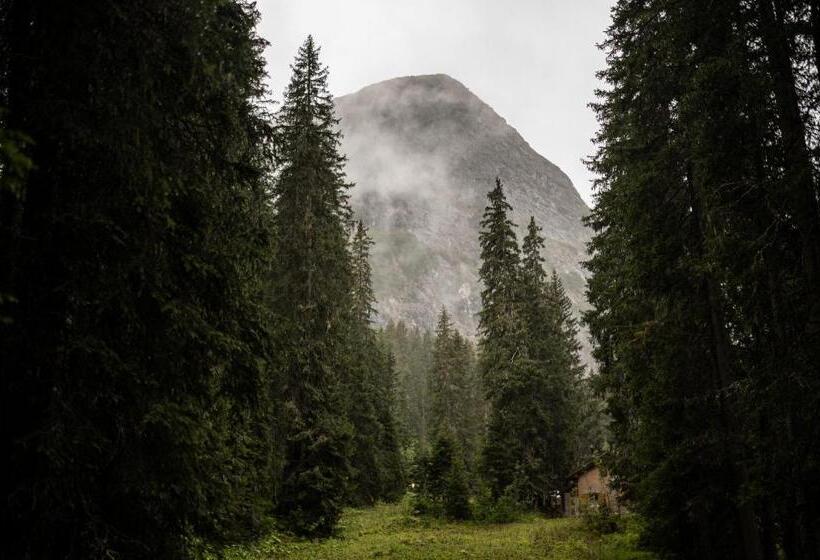 Das Verwall   Finest Serviced Apartments