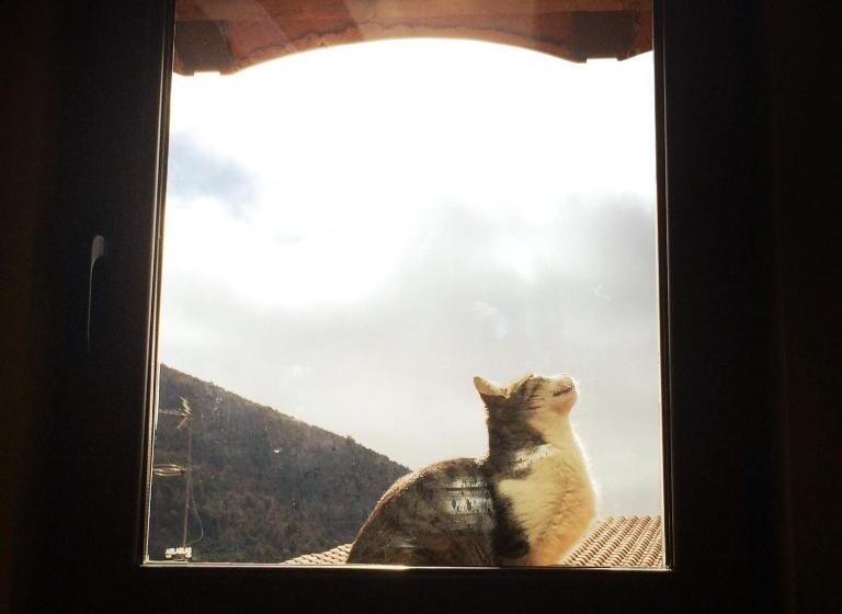 בית מלון כפרי Rural Font Del Genil