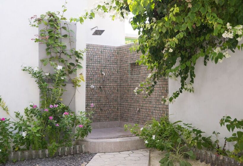 پانسیون Palm Gate Maldives