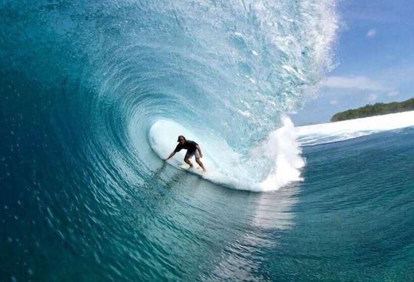 پانسیون Palm Gate Maldives