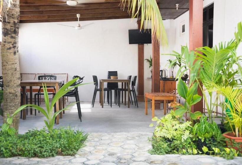 پانسیون Palm Gate Maldives