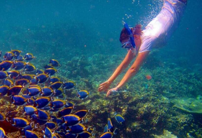پانسیون Palm Gate Maldives