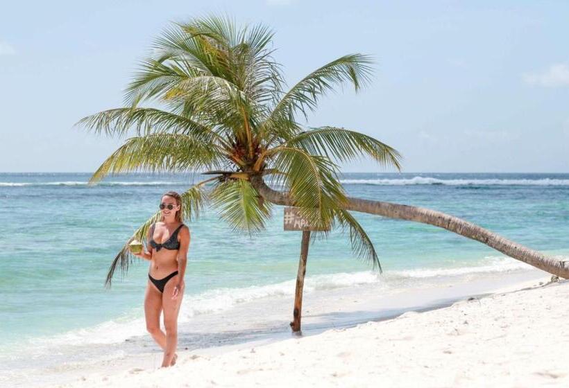 پانسیون Palm Gate Maldives