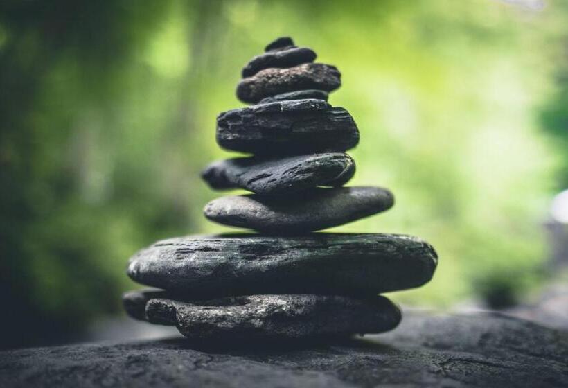 ベッドアンドブレックファースト Appartement Oingt   Les Meublés Des Pierres Dorées