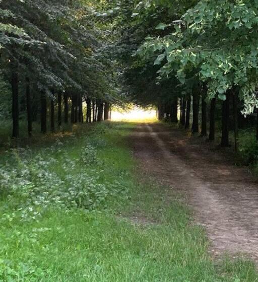 ベッドアンドブレックファースト Rue Haute By M&m 4 Sterren Bed En Breakfast Vlakbij Maastricht