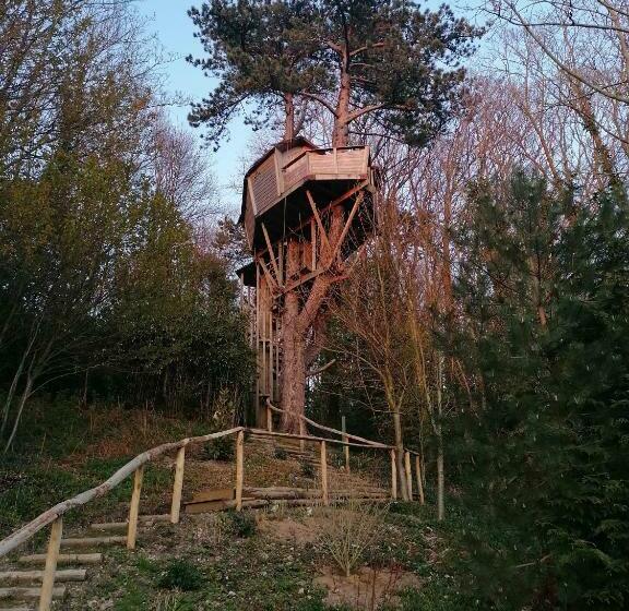 צימר Sherwood Tree