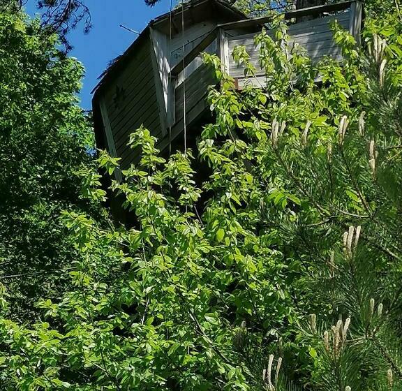 צימר Sherwood Tree