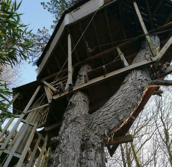 צימר Sherwood Tree