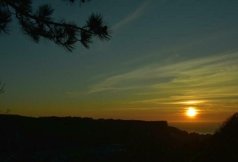 צימר Sherwood Tree