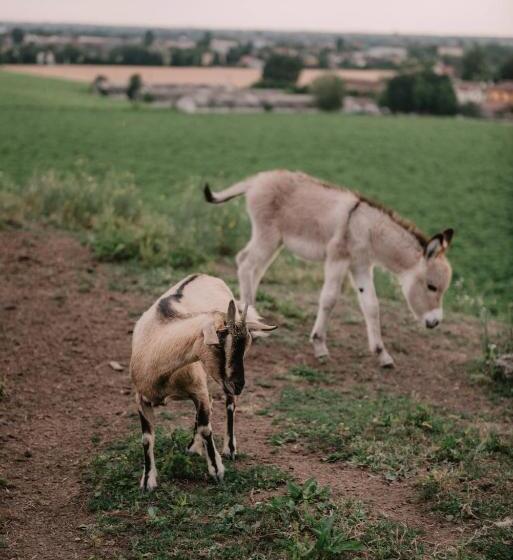 בית מלון כפרי Al Vecchio Convento Tenuta Malvolti