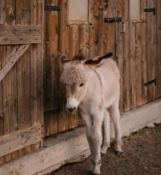 בית מלון כפרי Al Vecchio Convento Tenuta Malvolti