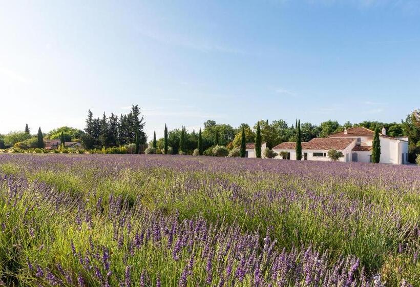 펜션 Bastide De Damien