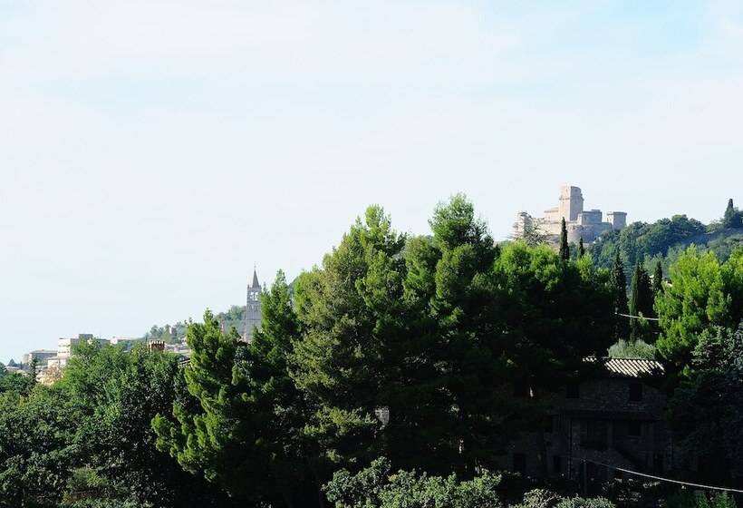 Agriturismo Colle Degli Olivi