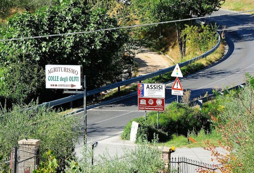 Agriturismo Colle Degli Olivi