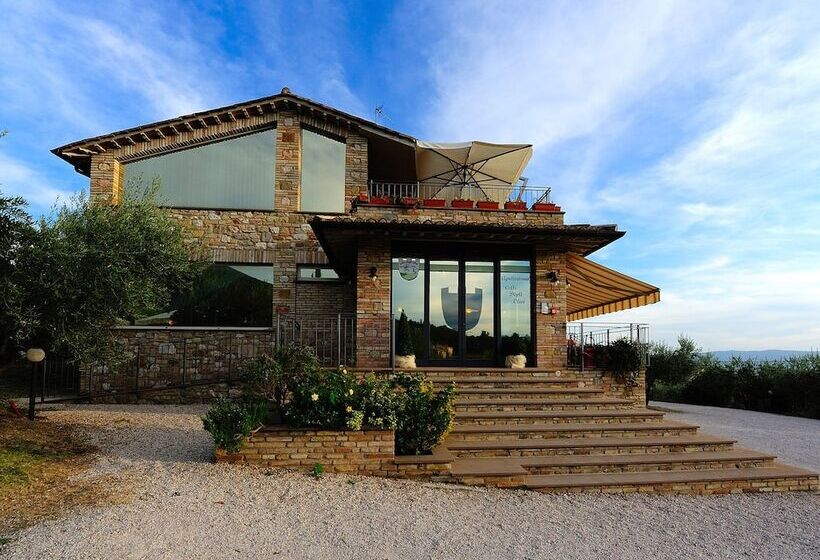 Agriturismo Colle Degli Olivi