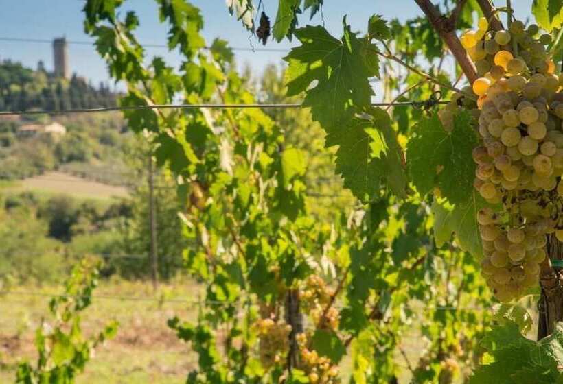 Agriturismo Il Casolare Di Bucciano