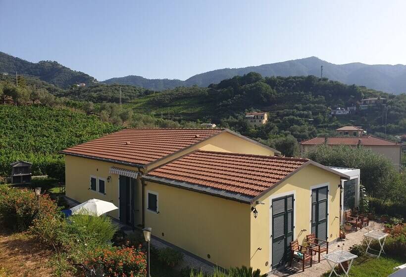 Agriturismo La Collina Verde