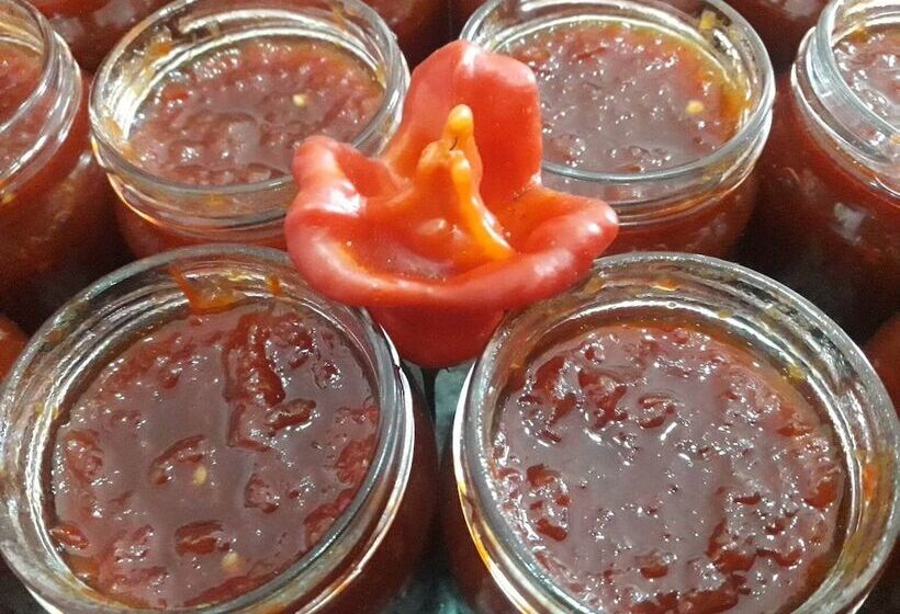 Agriturismo La Collina Verde