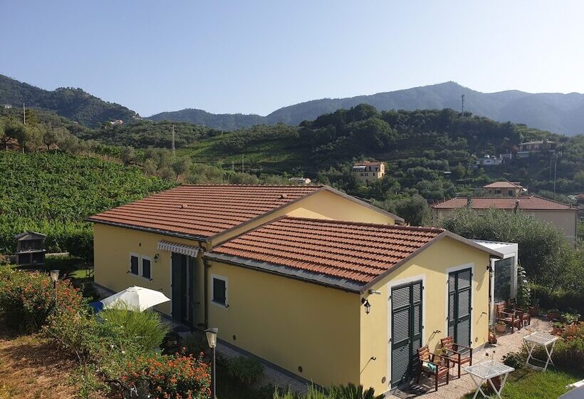 Agriturismo La Collina Verde