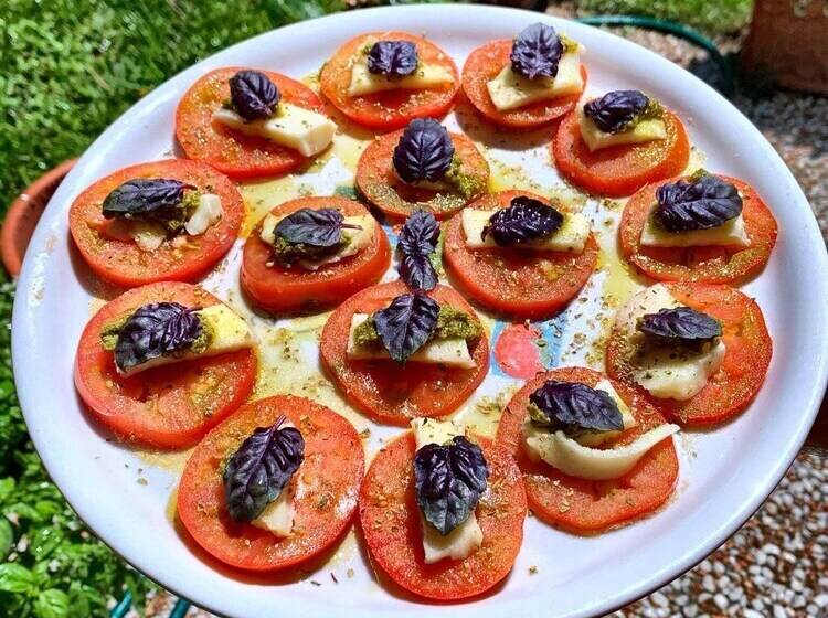 Agriturismo La Collina Verde